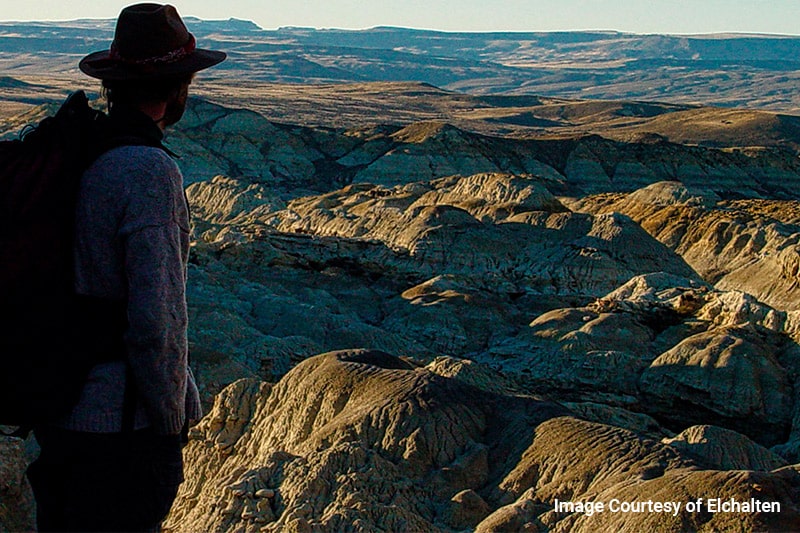 la leona petrified forest tour