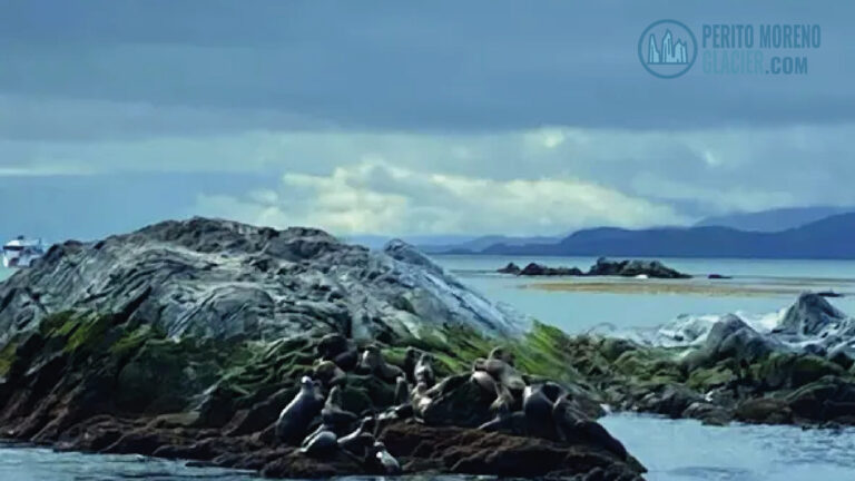 Complete Ushuaia in two days: Tierra del Fuego NP + Train + Beagle Channel Navigation + Fagnano and Escondido Lakes