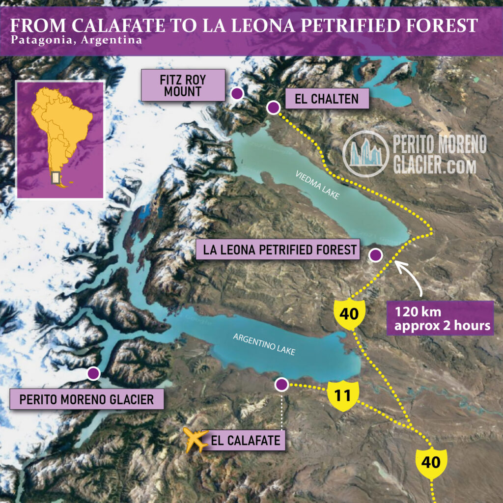 Map showing the location of La Leona Petrified Forest in Patagonia