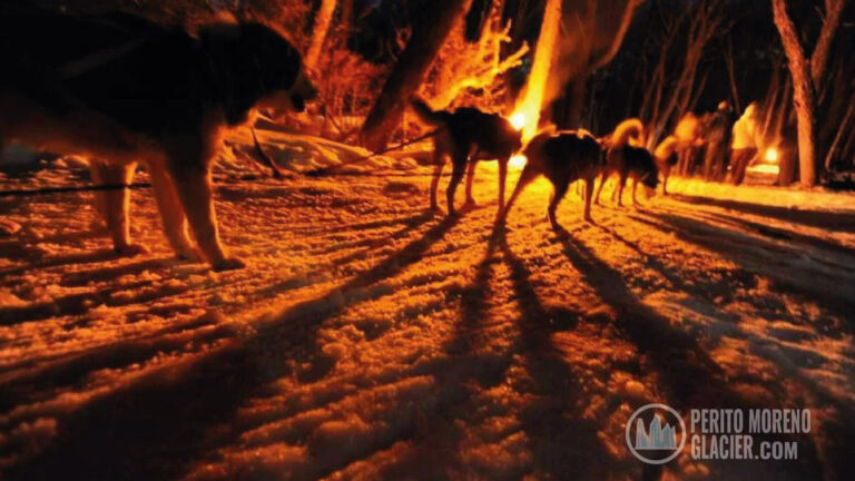 Fire & Snow: Winter Activity in Ushuaia