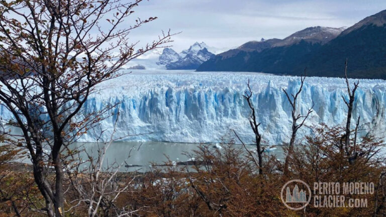 Southern Patagonia & Cape Horn Expedition Cruise – 11 Nights