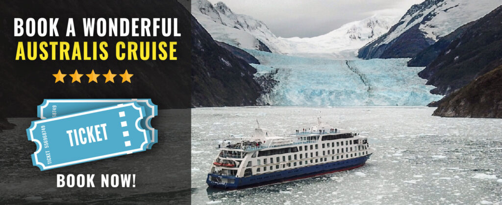 ticket australis cruise mesa de trabajo 1