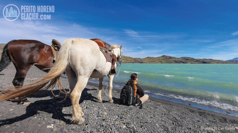 Half day tour to Nordenskjold Lake and Horseback Riding
