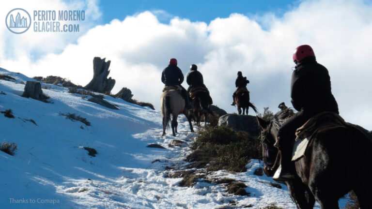 Horseback Riding to Cerro Dorotea from Puerto Natales