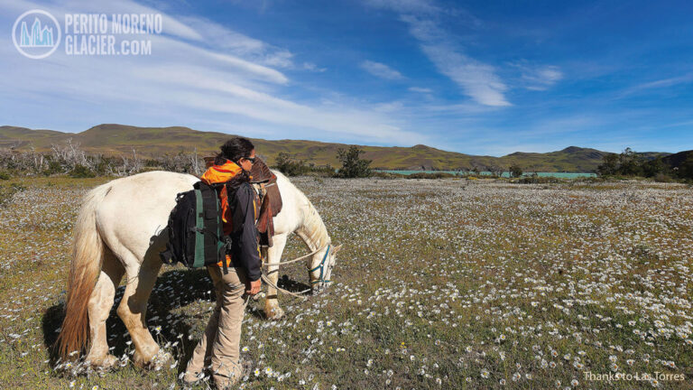 Horseback Riding in the Enchanted Valley (Valle Encantado)