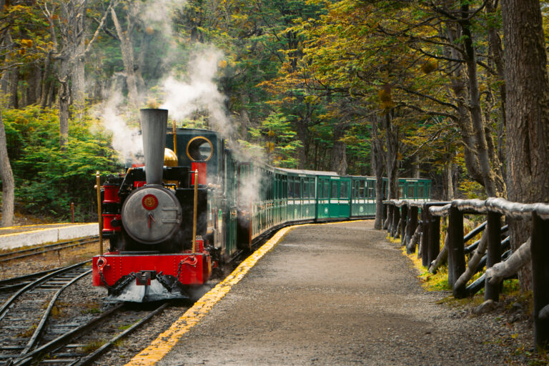 Excursion to Tierra del Fuego National Park + Train of the End of the World in Ushuaia